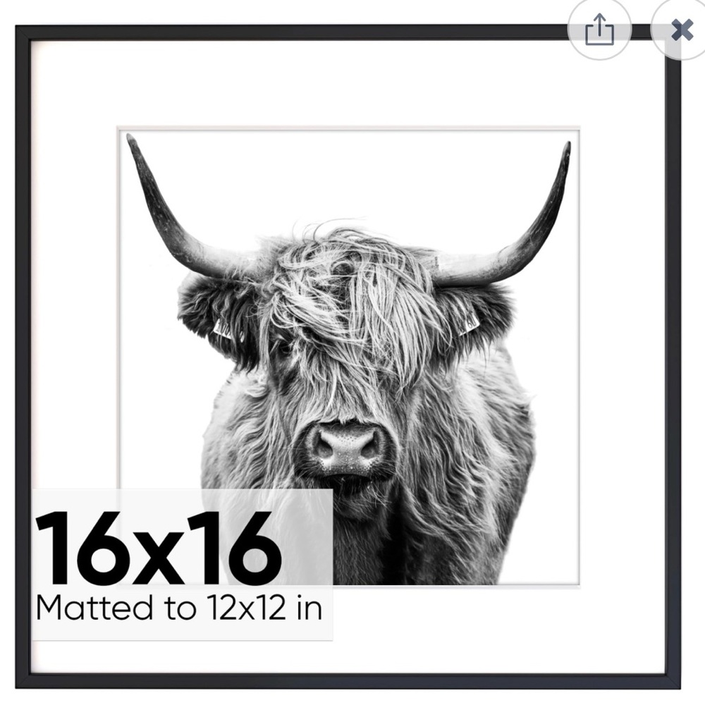 NIB Framed Highland Cow Art Print Picture 16x16